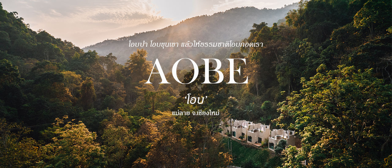 cover หนีฝุ่น PM2.5 มาโอบกอดธรรมชาติที่ AOBE - โอบ เชียงใหม่