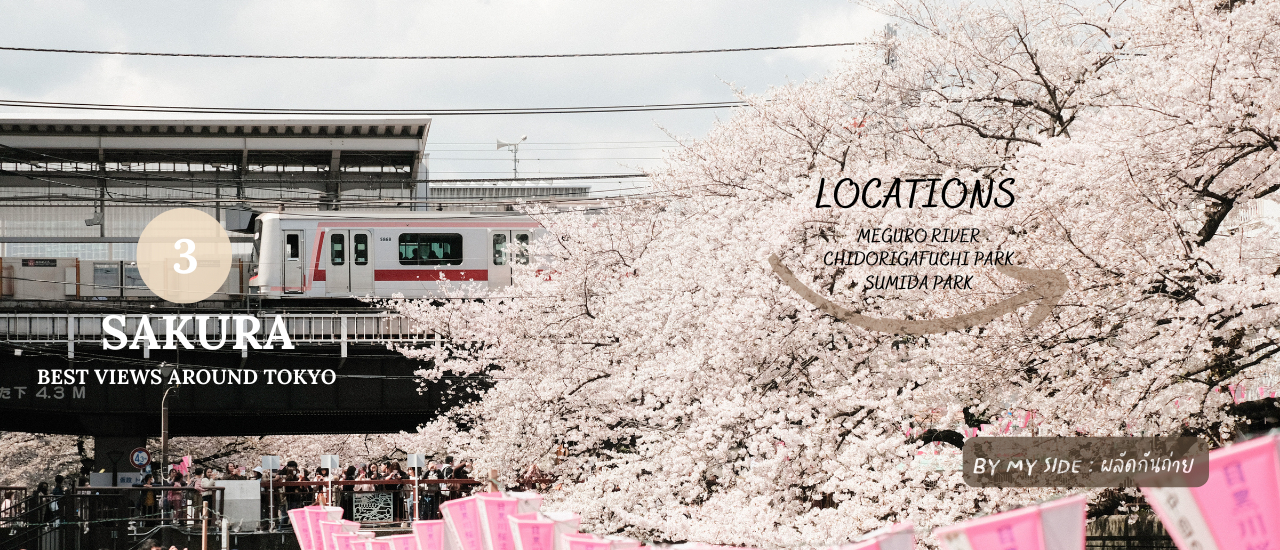 cover 🌸 บันทึกความทรงจำกับ 3 จุดเช็คอินถ่ายรูปคู่ซากุระ 🌸