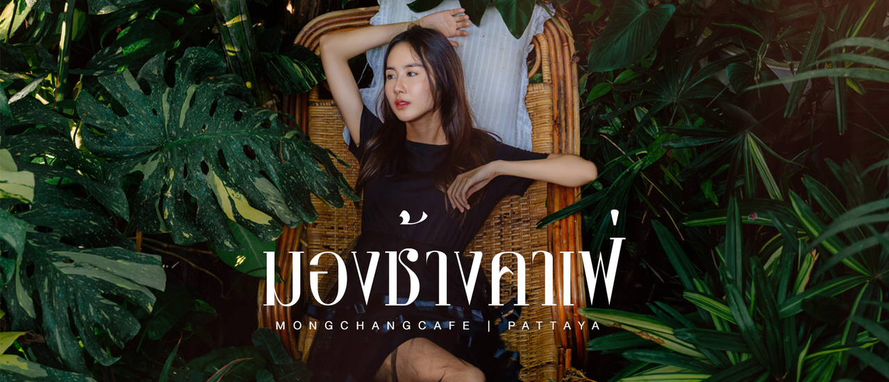 cover มองช้างคาเฟ่