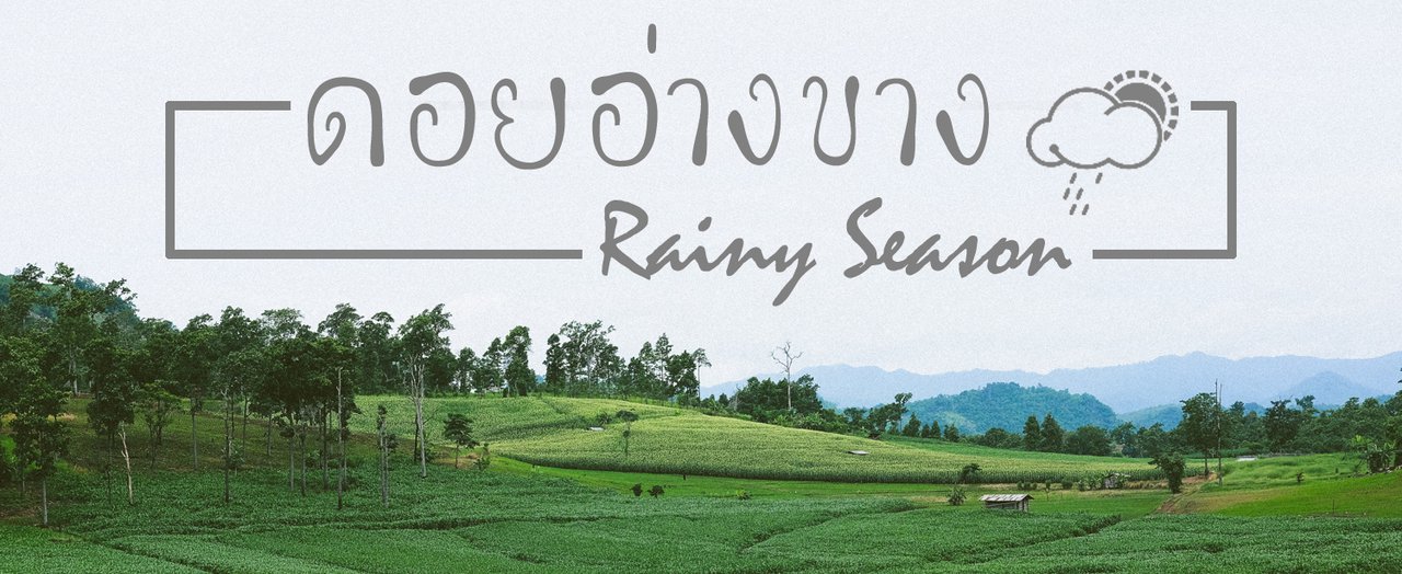 cover ขึ้น ดอยอ่างขาง หน้าฝนมีอะไรดี ตามไปดู :}