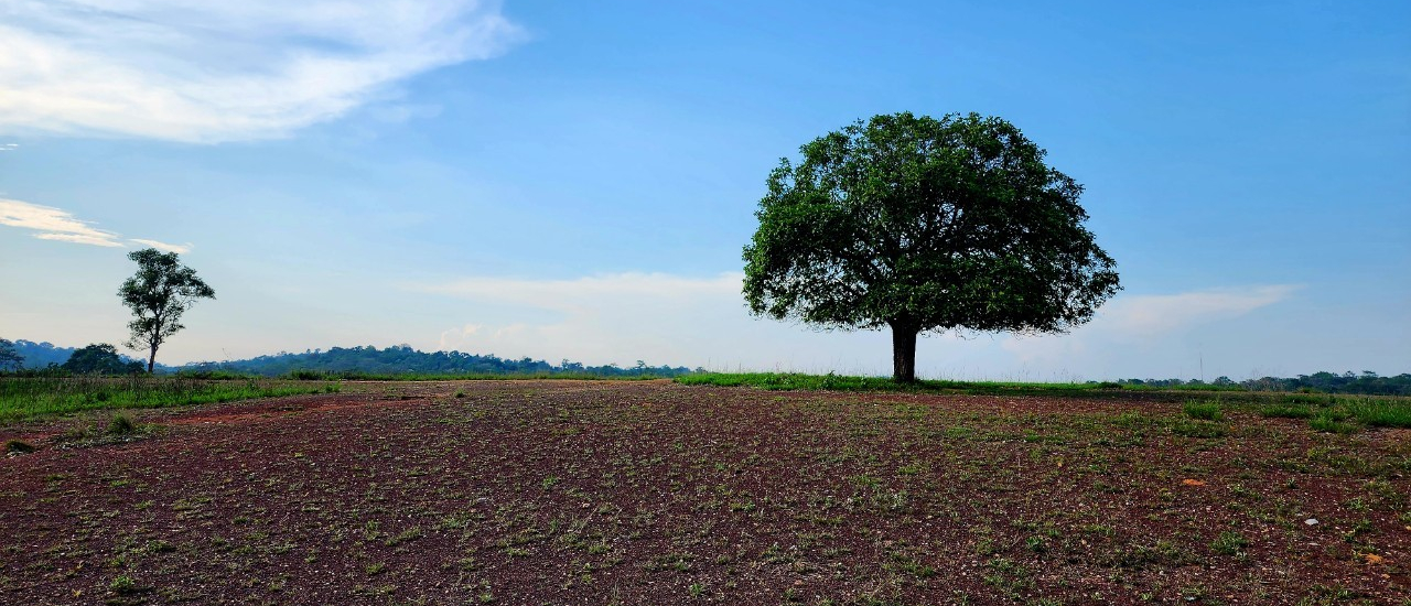 cover ไปชัยภูมิ ชมบัวแดง..กินปลาอาหารถิ่น แวะนอนทุ่งกระมัง ส่องสัตว์..แลดูดาว