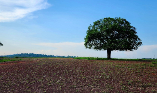 Cover ไปชัยภูมิ ชมบัวแดง..กินปลาอาหารถิ่น แวะนอนทุ่งกระมัง ส่องสัตว์..แลดู...