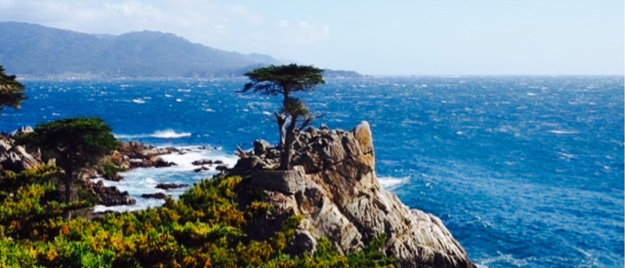 cover ไม่ได้ออกนอกประเทศมา 3 ปี จัดทริปทั้งทีต้องเอาให้คุ้มกับ California USA part2: ขับเลียบ Pacific Ocean