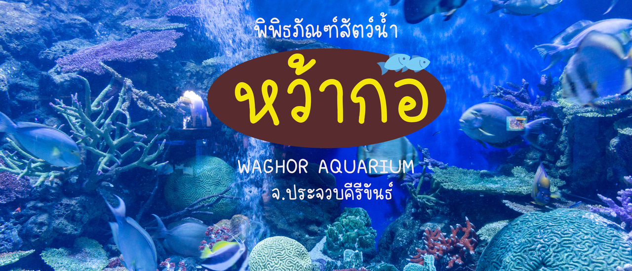 cover พิพิธภัณฑ์สัตว์น้ำหว้ากอ