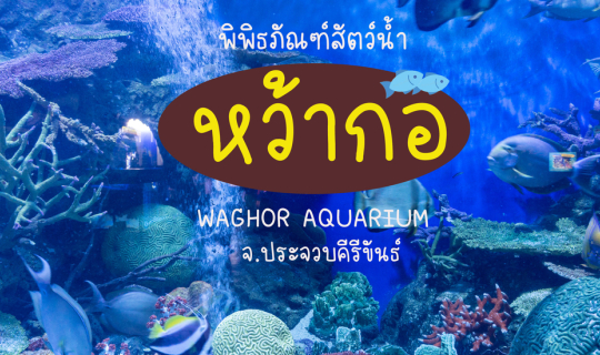 cover พิพิธภัณฑ์สัตว์น้ำหว้ากอ