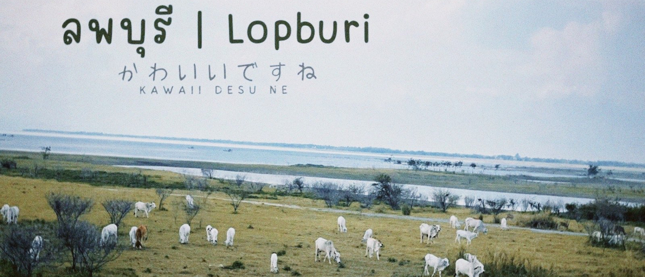 cover ทริปเที่ยวลพบุรี Lopburi │คาวาอี้เดสเนะ! かわいいですね