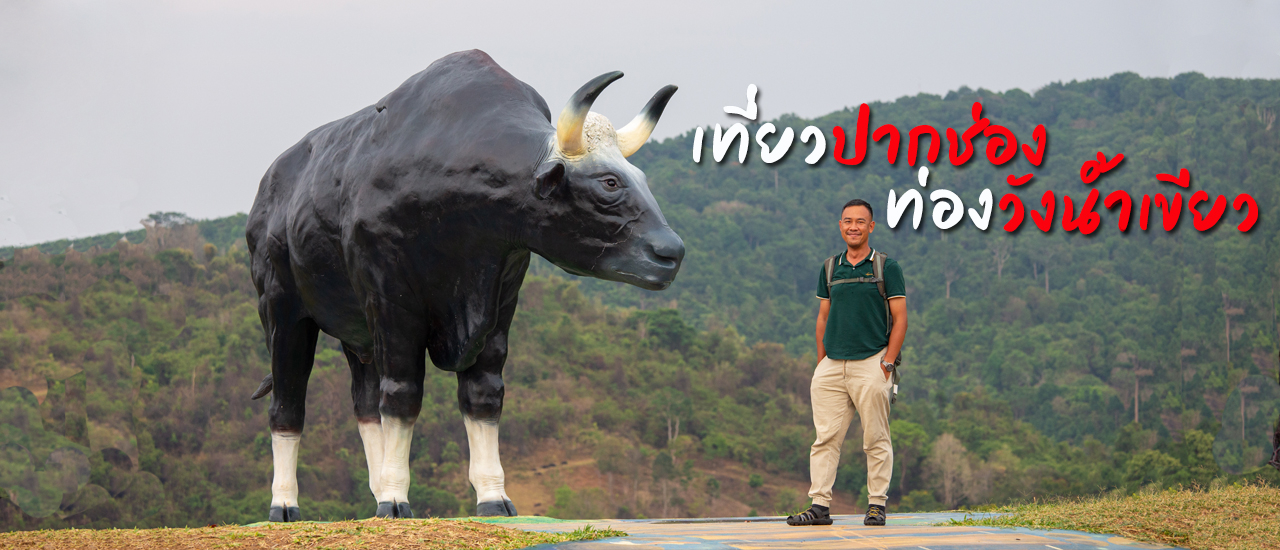 cover เที่ยวปากช่อง ท่องวังน้ำเขียว