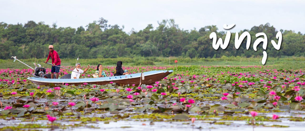 cover ล่องเรือทะเลน้อย แลชม้อยบัวแดง พักผ่อนเอาแรงที่ปากคลองฟาร์มสเตย์