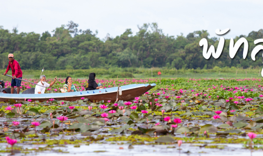 cover ล่องเรือทะเลน้อย แลชม้อยบัวแดง พักผ่อนเอาแรงที่ปากคลองฟาร์มสเตย์