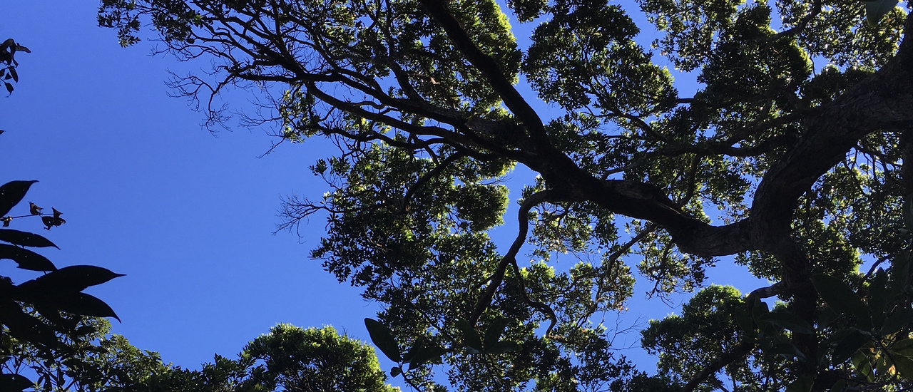 cover One day trip เที่ยวเขาใหญ่ฉบับเร่งด่วน