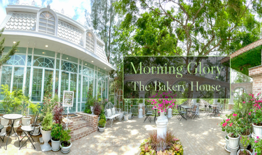 cover คอร์ส ﻿ช็อกโกแลต ไฟน์ไดนิ่ง (ที่ต้องจองล่วงหน้าเท่านั้น!) ที่... Morning glory The bakery house คาเฟ่ เบเกอรี่ ที่อร่อยที่สุด ณ สวนผึ้ง ราชบุรี