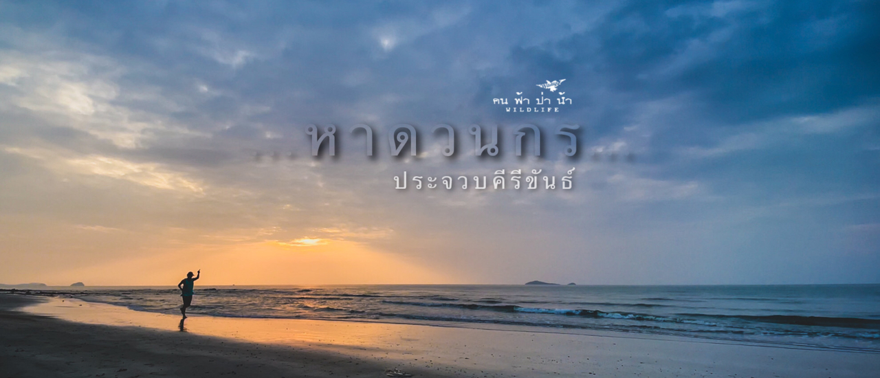 cover หาดวนกร คลองวาฬ กุยบุรี เที่ยวไปเรื่อย...ประจวบคีรีขันธ์
