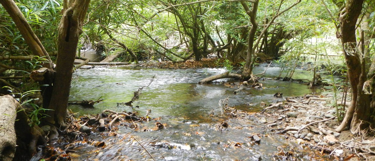 cover To bike in the forest, the 1st path at Phurakam, Ratchaburi ... Ending Episode