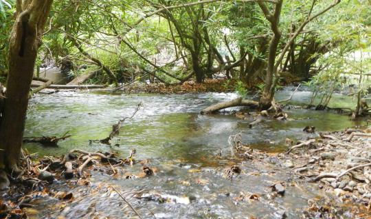 cover To bike in the forest, the 1st path at Phurakam, Ratchaburi ... Ending Episode
