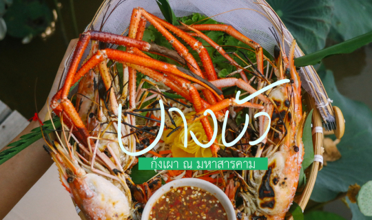 Cover บางบัว กุ้งเผา ณ มหาสารคาม ปักหมุดแนะนำความความแซ่บ...