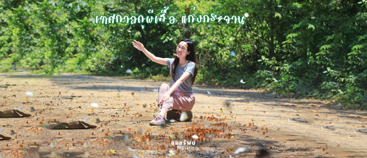 cover "เทศกาลดูผีเสื้อ" สุดอลังการ กลางป่าอุดมสมบูรณ์ "อุทยานแห่งชาติแก่งกระจาน" จ.เพชรบุรี