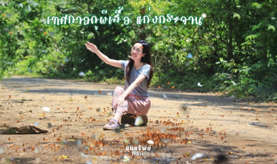 cover "เทศกาลดูผีเสื้อ" สุดอลังการ กลางป่าอุดมสมบูรณ์ "อุทยานแห่งชาติแก่งกระจาน" จ.เพชรบุรี