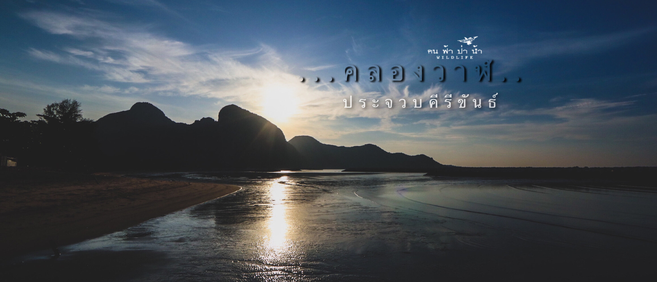 cover คลองวาฬ ความสุข สไตล์มินิมอล เที่ยวไปเรื่อย...ประจวบคีรีขันธ์