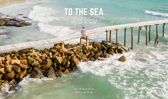 cover รีวิว ทู เดอะ ซี เดอะรีสอร์ท เกาะกูด  (To The Sea Koh Kood) ที่พักสวยเกาะกูด บรรยากาศดี ริมทะเล