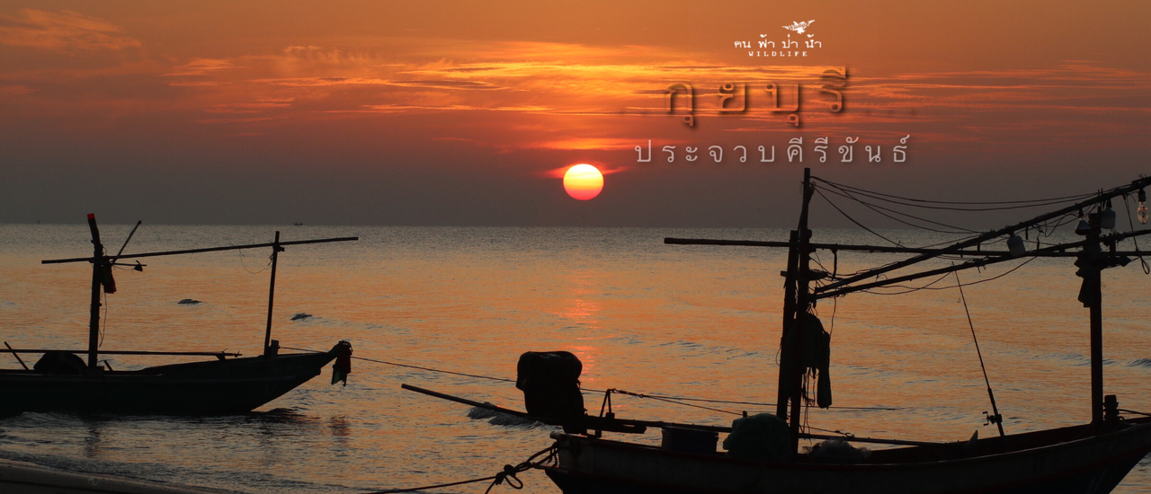 cover กุยบุรี เที่ยวไปเรื่อยประจวบคีรีขันธ์