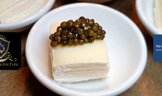 cover ครั้งแรกในประเทศไทยกับ Caviar Masterclass เรียนรู้ไข่ปลาคาเวียร์กับ Thai Sturgeon Farm