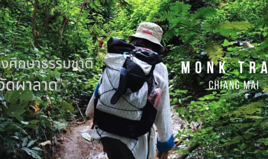 Cover เส้นทางศึกษาธรรมชาติ เดินป่า เมืองเชียงใหม่ (Monk Trail )...