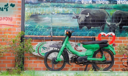 Cover ฟาร์มอินซี  จิบแฟ....แลควาย @ระยอง...