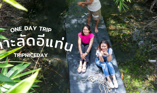 Cover TripNiceDay ล่องเรือเก็บส้มโอสดๆจากสวน ที่ชุมชนเกาะลัดอีแท่นนครปฐม...