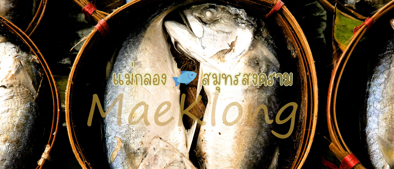 cover เที่ยวไหนดี @ แม่กลอง สมุทรสงคราม