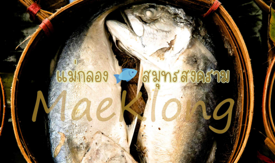 cover เที่ยวไหนดี @ แม่กลอง สมุทรสงคราม