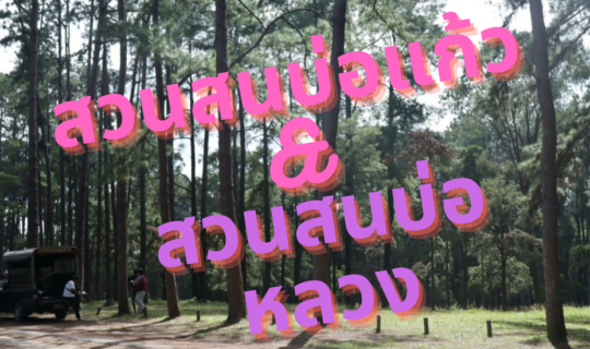 Cover สวนสนเชียงใหม่...