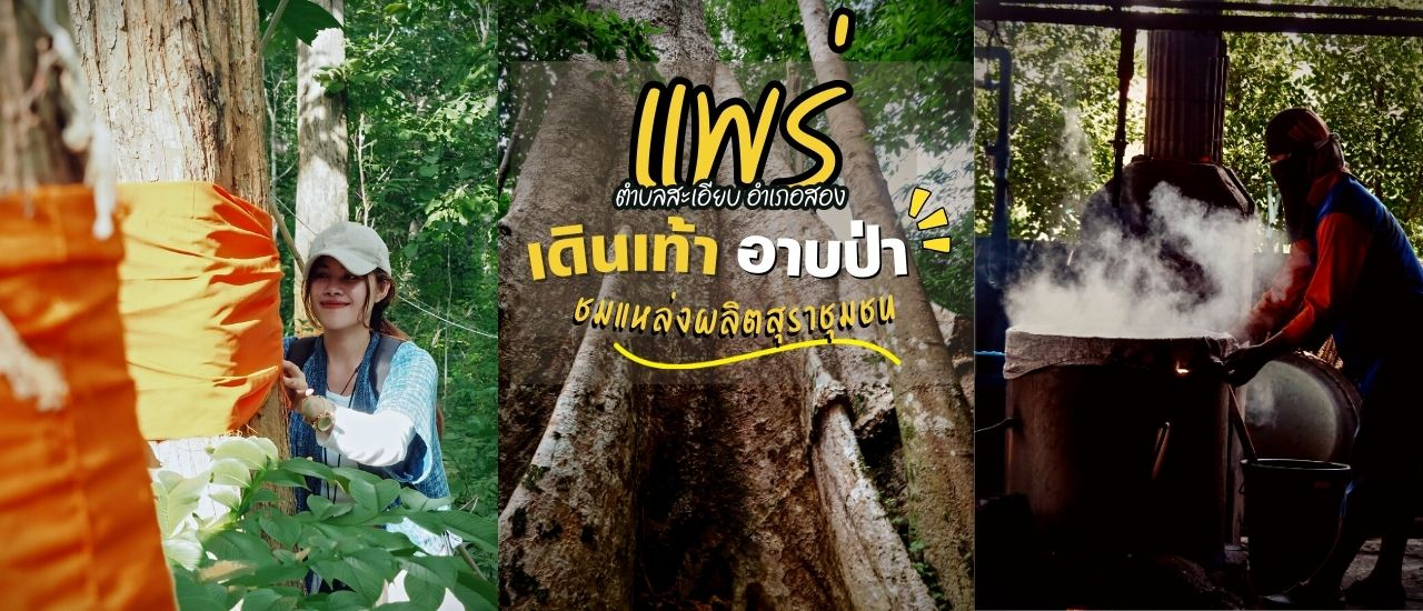 cover พาไปเดินเท้า อาบป่า ชมแหล่งผลิตสุราชุมชนชื่อดัง ต.สะเอียบ อ.สอง จ.แพร่