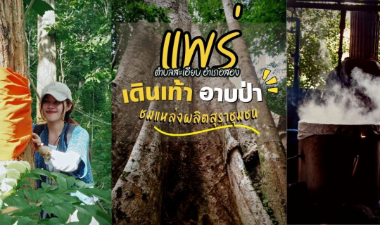 cover พาไปเดินเท้า อาบป่า ชมแหล่งผลิตสุราชุมชนชื่อดัง ต.สะเอียบ อ.สอง จ.แพร่