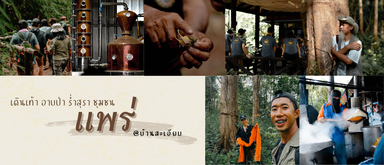 cover เดินเท้า อาบป่า ดื่มสุราเมืองแพร่ วิสาหกิจชุมชน