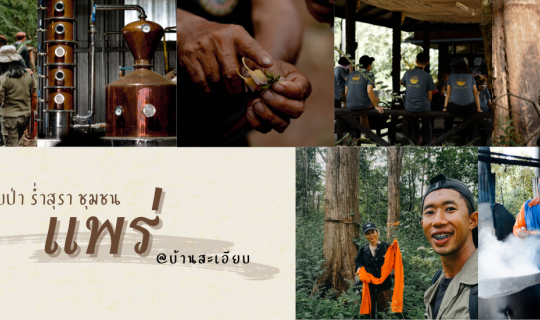 Cover เดินเท้า อาบป่า ดื่มสุราเมืองแพร่ วิสาหกิจชุมชน...