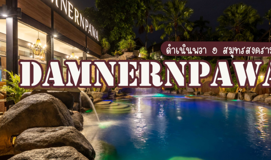 Cover ดำเนินพวา รีสอร์ท บ้านต้นไม้...