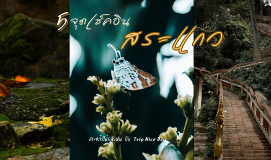 Cover สระแก้วไม่กลัวฝน..5 จุดเช็คอิน  พิชิตภารกิจ กับ TripNiceDay - Weekda...