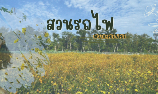 Cover ถ่ายรูปเล่นกัน ✿ สวนดอกคอสมอส @สวนรถไฟ น่ารักไม่ไหว ♡...