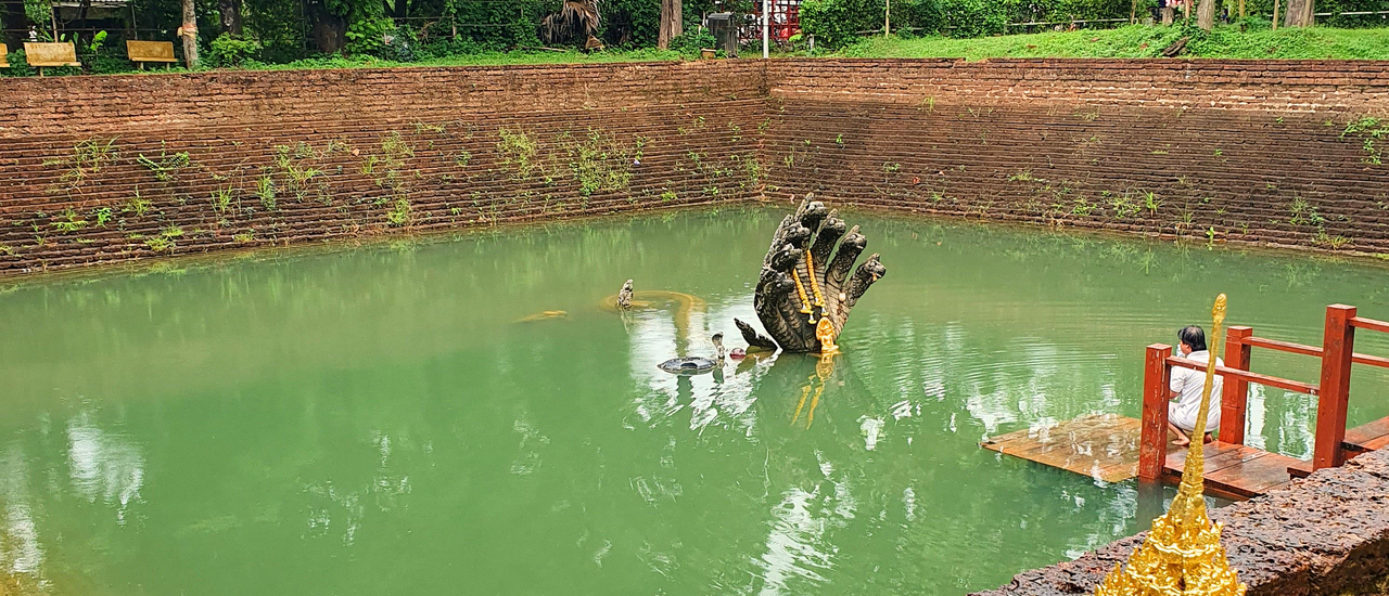 cover นมัสการพระธาตุบังพวน บวงสรวงพญานาคาสระมุจลินท์