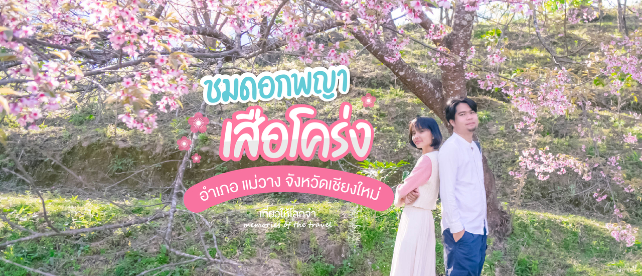 cover บันทึกซากุระขุนวาง (เชียงใหม่)