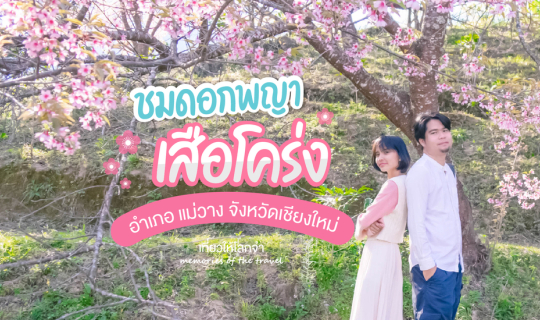 cover บันทึกซากุระขุนวาง (เชียงใหม่)