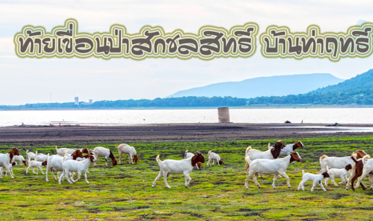 Cover แวะมาพัก มาแค้มป์ปิ้ง ลานหญ้าอันกว้างไกล ที่ท้ายเขื่อนป่าสักชลสิทธิ์...