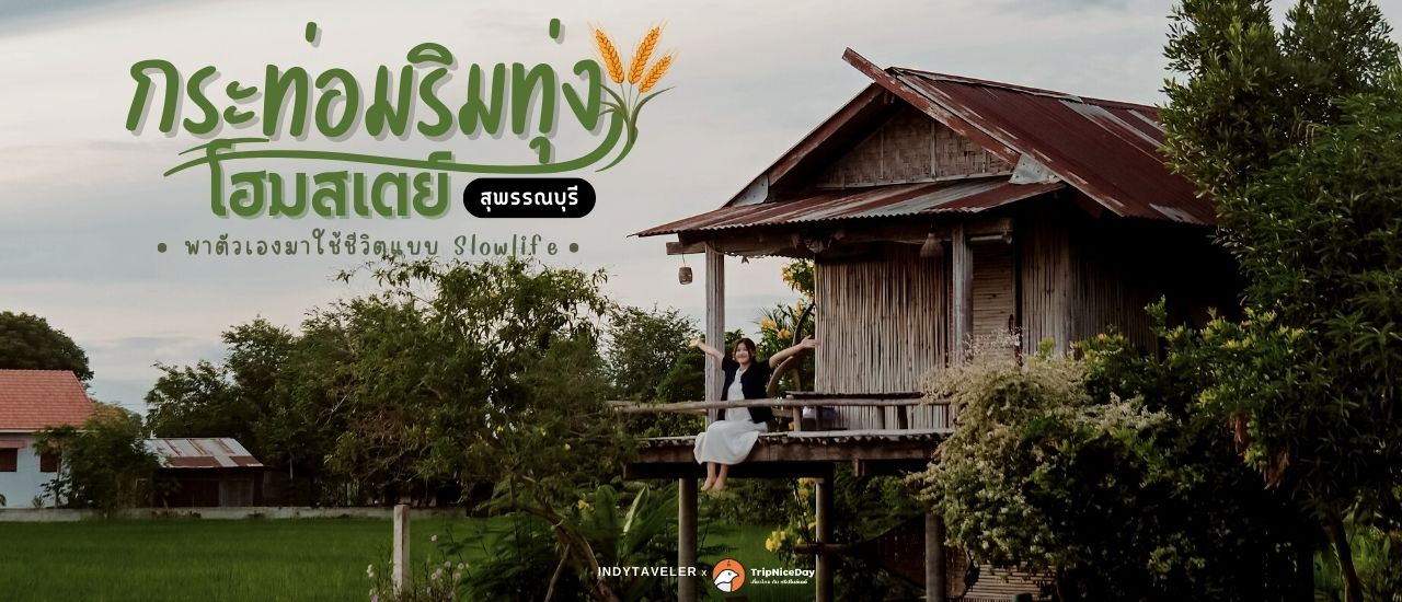 cover ชวนมาสัมผัสธรรมชาติ "กระท่อมริมทุ่ง โฮมสเตย์ " สุพรรณบุรี
