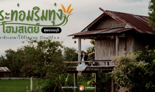 cover ชวนมาสัมผัสธรรมชาติ "กระท่อมริมทุ่ง โฮมสเตย์ " สุพรรณบุรี