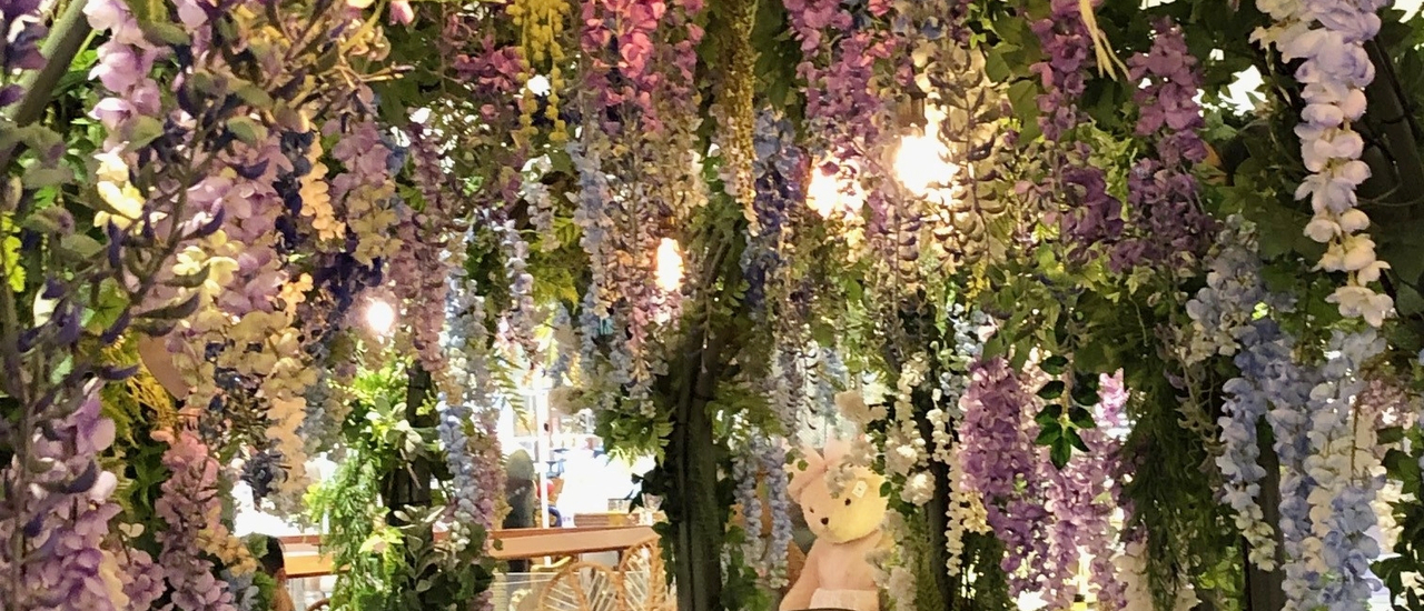 cover ดื่มด่ำกับกาแฟ ชา สปาเกตตี ดอกวิสทีเรีย และการมาเยือนของสายฝน ณ divana signature cafe