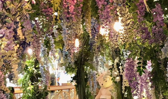 Cover ดื่มด่ำกับกาแฟ ชา สปาเกตตี ดอกวิสทีเรีย และการมาเยือนของสายฝน ณ diva...