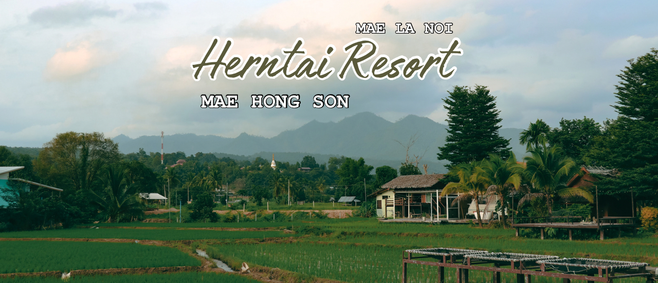 cover เฮินไต รีสอร์ท แม่ลาน้อย  ในฤดูฝนเดือนสิงหาคม