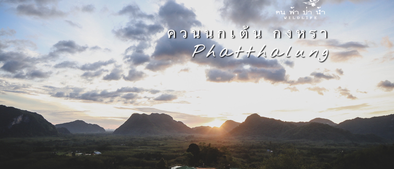 cover แสงแรกแห่งเทือกเขาบรรทัดที่ ควนนกเต้น พัทลุง