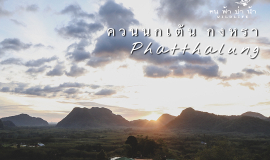 cover แสงแรกแห่งเทือกเขาบรรทัดที่ ควนนกเต้น พัทลุง