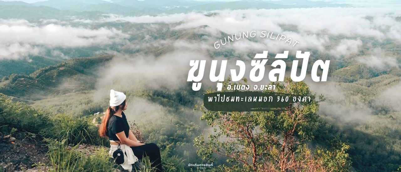 cover ฆู นุ ง ซี ลี ปั ต - เ บ ต ง - ย ะ ล า